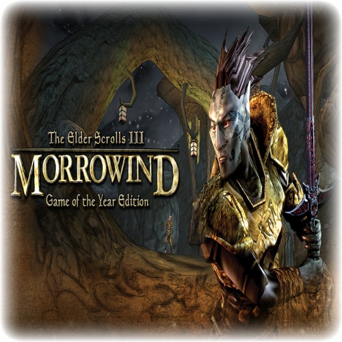  The Elder Scrolls III - GARANTİ